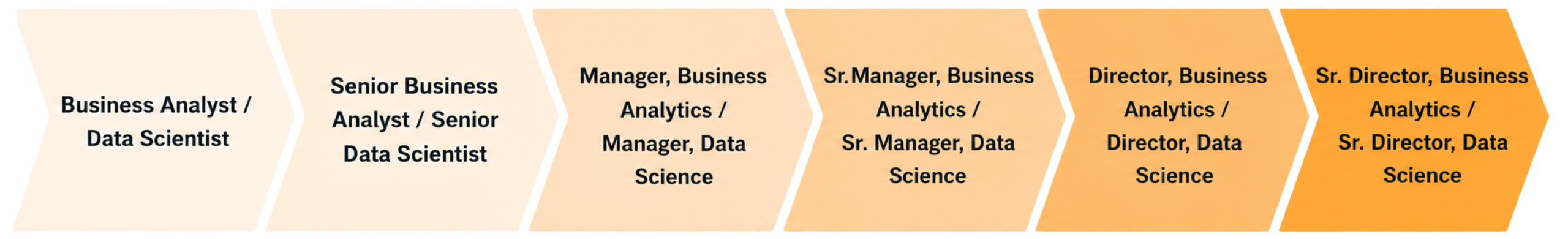 career path graphic